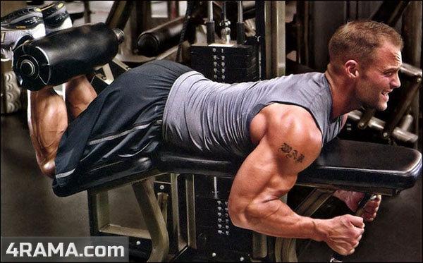 Упражнения для тренировки ног - Бодибилдинг форум AnabolicShops