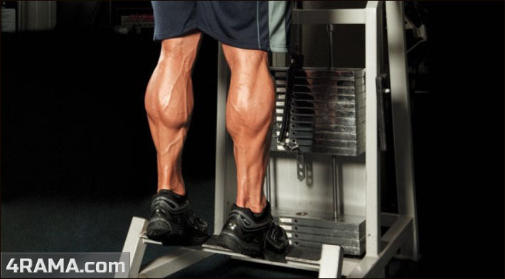 Упражнения для тренировки ног - Бодибилдинг форум AnabolicShops