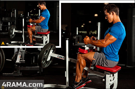 Упражнения для тренировки ног - Бодибилдинг форум AnabolicShops