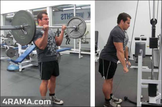 Суперсеты на бицепс и трицепс - Бодибилдинг форум AnabolicShops