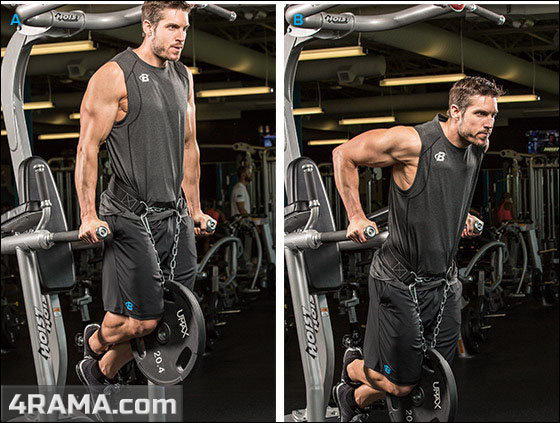 Отжимания на брусьях с весом - Бодибилдинг форум AnabolicShops