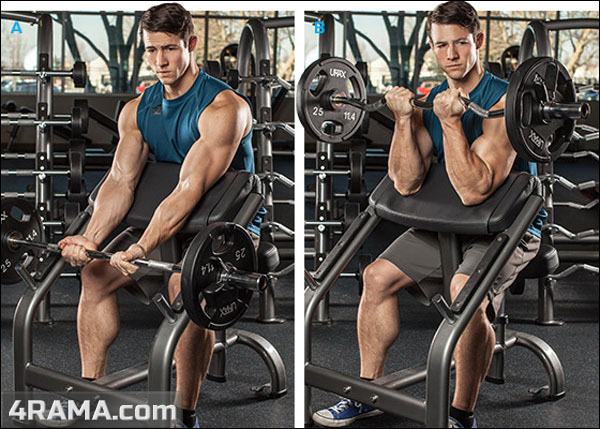 Подъем штанги на бицепс на скамье Скотта - Бодибилдинг форум AnabolicShops