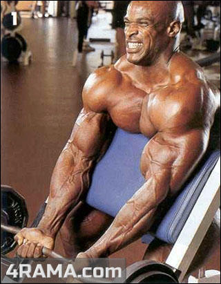 Подъем штанги на бицепс на скамье Скотта - Бодибилдинг форум AnabolicShops