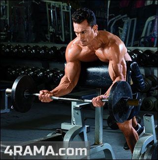 Подъем штанги на бицепс на скамье Скотта - Бодибилдинг форум AnabolicShops