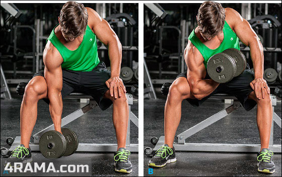 Концентрированные сгибания - Бодибилдинг форум AnabolicShops