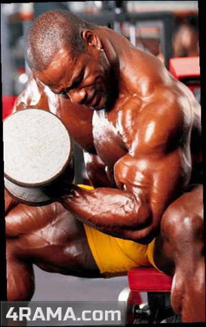 Концентрированные сгибания - Бодибилдинг форум AnabolicShops