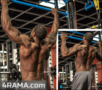 Подтягивания узким обратным хватом - Бодибилдинг форум AnabolicShops
