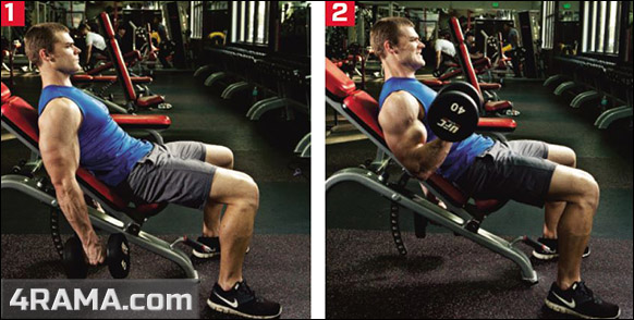 Подъемы гантелей сидя на наклонной скамье - Бодибилдинг форум AnabolicShops