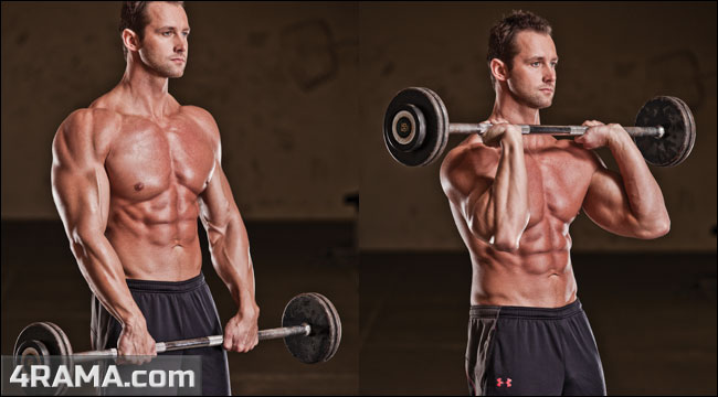 Подъем штанги на бицепс обратным хватом - Бодибилдинг форум AnabolicShops