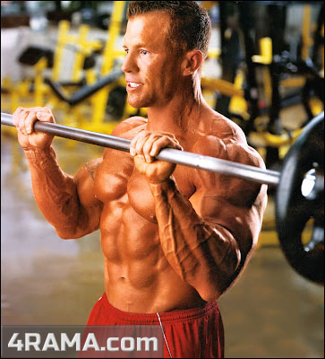 Подъем штанги на бицепс обратным хватом - Бодибилдинг форум AnabolicShops