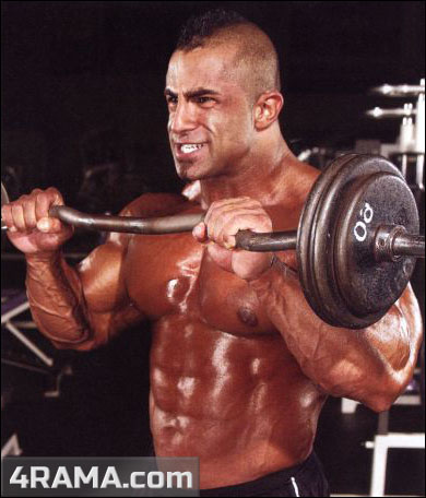 Подъем штанги на бицепс обратным хватом - Бодибилдинг форум AnabolicShops