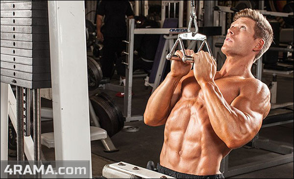 Тяга верхнего блока параллельным хватом - Бодибилдинг форум AnabolicShops