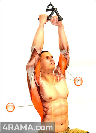 Тяга верхнего блока параллельным хватом - Бодибилдинг форум AnabolicShops