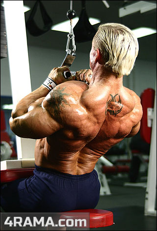 Тяга верхнего блока параллельным хватом - Бодибилдинг форум AnabolicShops