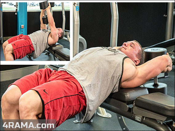 Пуловер с гантелью - Бодибилдинг форум AnabolicShops