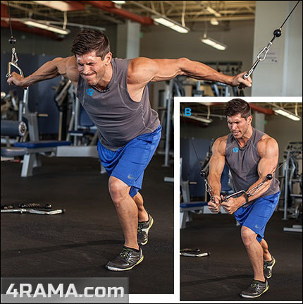 Мышечный отказ - Бодибилдинг форум AnabolicShops