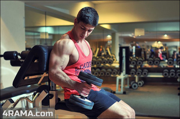 Упражнение Молоток на бицепс - Бодибилдинг форум AnabolicShops