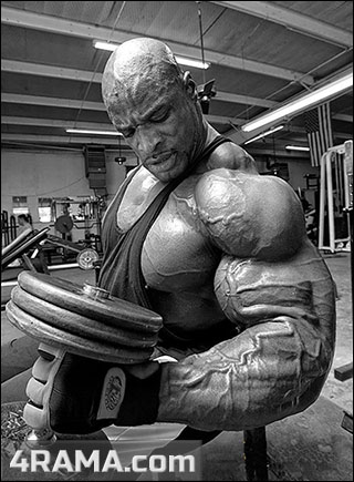 Упражнение Молоток на бицепс - Бодибилдинг форум AnabolicShops