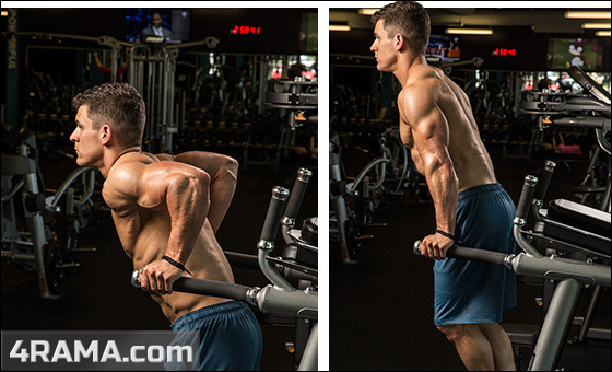 Отжимания на узких брусьях - Бодибилдинг форум AnabolicShops
