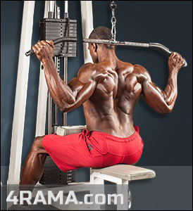 Тяга верхнего блока за голову - Бодибилдинг форум AnabolicShops