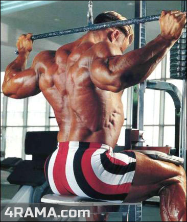 Тяга верхнего блока за голову - Бодибилдинг форум AnabolicShops