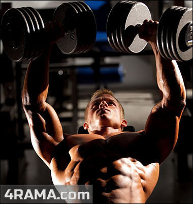 Жим гантелей лежа на наклонной скамье - Бодибилдинг форум AnabolicShops