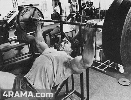 Жим гантелей лежа на наклонной скамье - Бодибилдинг форум AnabolicShops