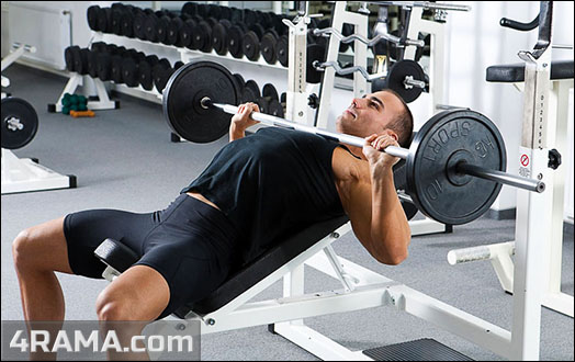 Жим штанги лежа на наклонной скамье - Бодибилдинг форум AnabolicShops