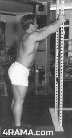 Тяга Рейдера - Бодибилдинг форум AnabolicShops