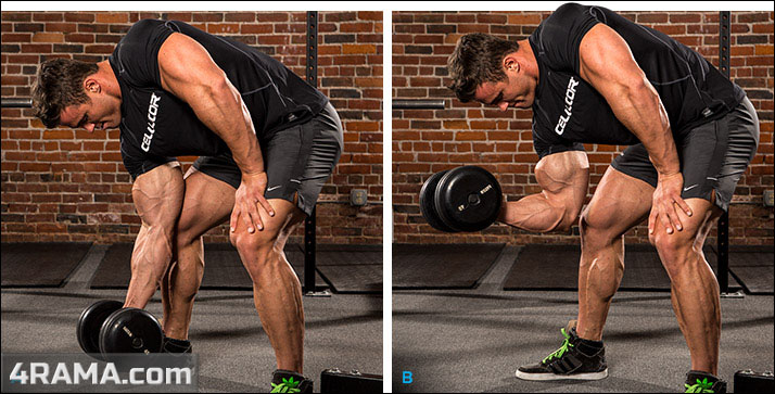 Упражнения на пик бицепса - Бодибилдинг форум AnabolicShops