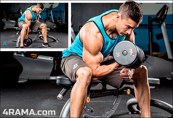 Упражнения на пик бицепса - Бодибилдинг форум AnabolicShops