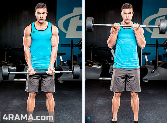 Упражнения на пик бицепса - Бодибилдинг форум AnabolicShops