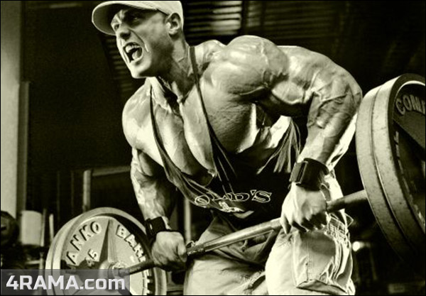 Тяга штанги в наклоне - Бодибилдинг форум AnabolicShops