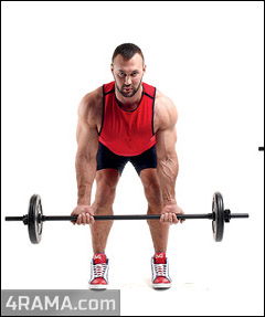 Тяга штанги в наклоне - Бодибилдинг форум AnabolicShops