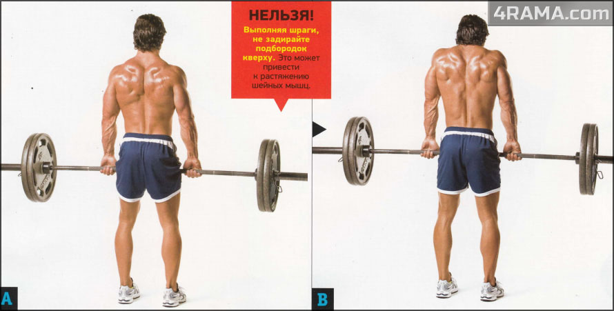 Упражнения для трапеции - Бодибилдинг форум AnabolicShops
