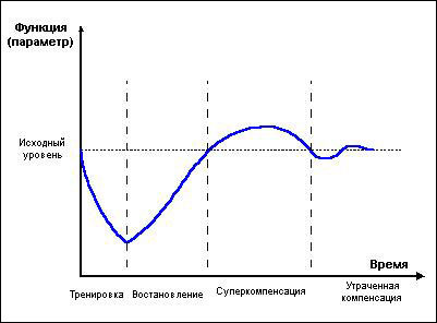 Суперкомпенсация в бодибилдинге - Бодибилдинг форум AnabolicShops
