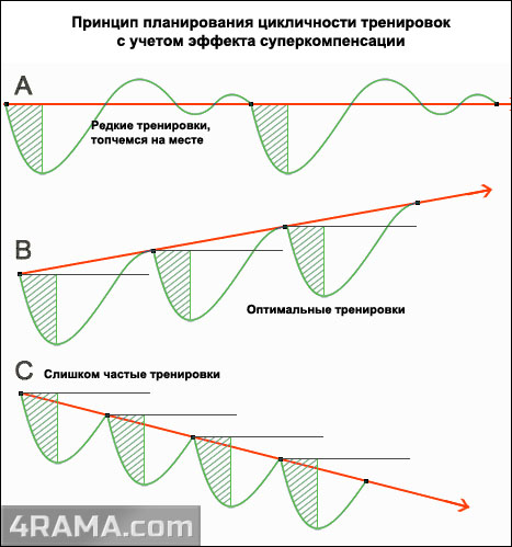 Суперкомпенсация в бодибилдинге - Бодибилдинг форум AnabolicShops