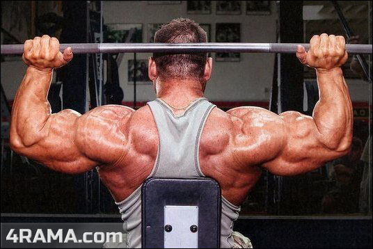 Жим штанги из-за головы сидя - Бодибилдинг форум AnabolicShops