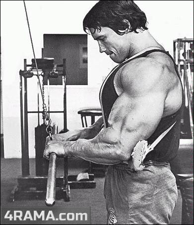 Французский жим лежа - Бодибилдинг форум AnabolicShops