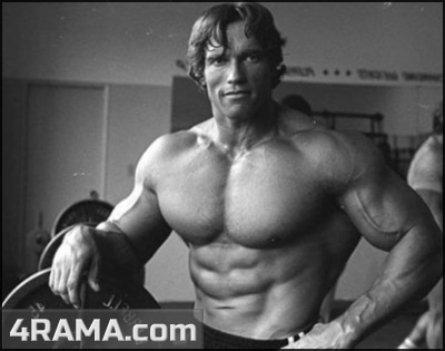 Программа тренировок для мезоморфа - Бодибилдинг форум AnabolicShops