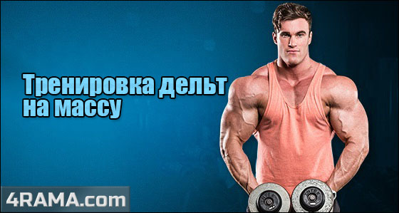 Тренировка плеч на массу - Бодибилдинг форум AnabolicShops