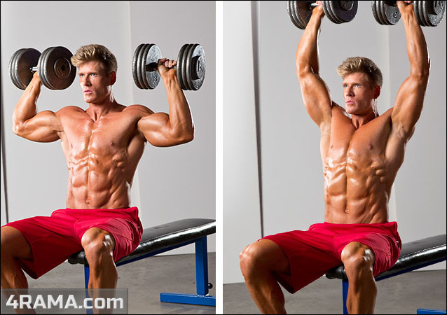 Тренировка плеч на массу - Бодибилдинг форум AnabolicShops