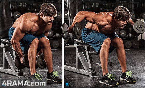 Тренировка плеч на массу - Бодибилдинг форум AnabolicShops