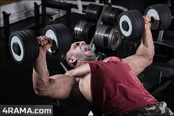 Жим гантелей лежа - Бодибилдинг форум AnabolicShops