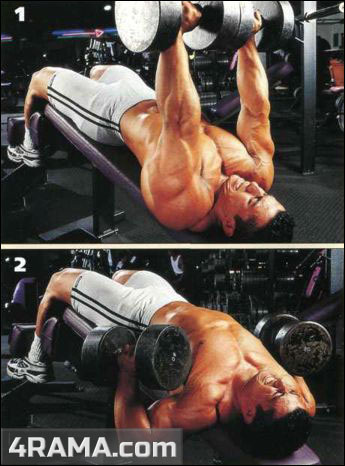 Жим гантелей лежа - Бодибилдинг форум AnabolicShops