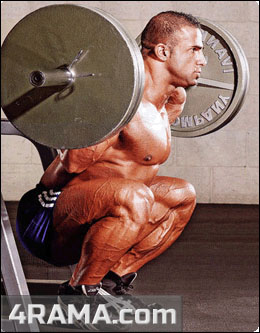 Тренировка ног на массу - Бодибилдинг форум AnabolicShops