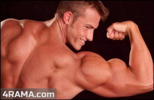 Как правильно качать бицепс - Бодибилдинг форум AnabolicShops