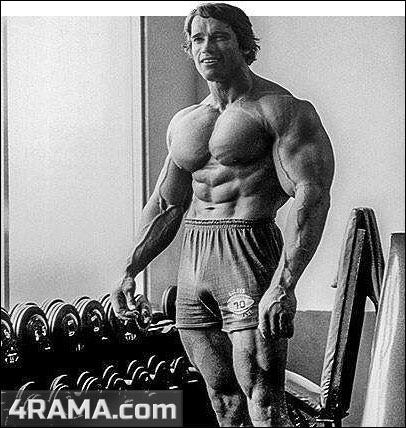 Разминка рук и плеч - Бодибилдинг форум AnabolicShops