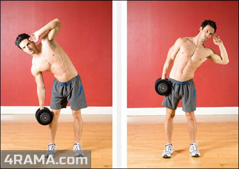 Как увеличить талию - Бодибилдинг форум AnabolicShops