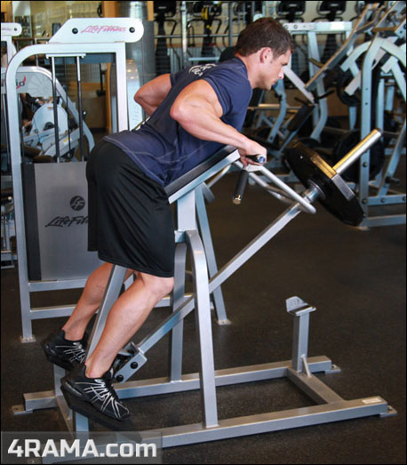 Тяга Т-грифа в наклоне - Бодибилдинг форум AnabolicShops